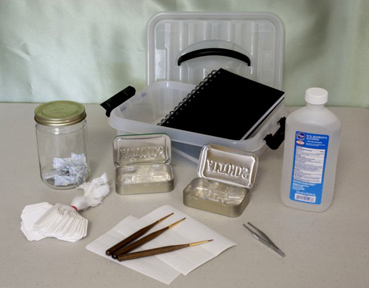 Iris hybridizing kit